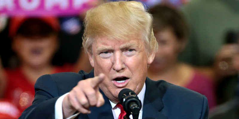 Resumen: El primer año de Donald Trump como presidente de los Estados Unidos